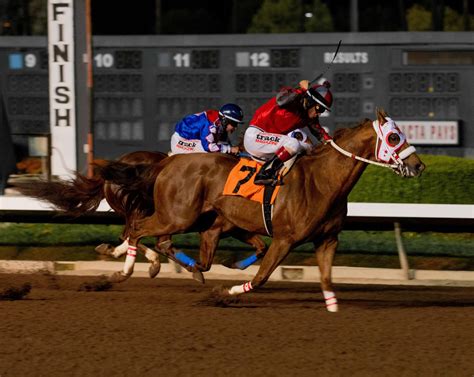 Dec 12, 2019 · Los Alamitos was opened in 1951 and is best known as a premier Quarter Horse track. "Los Al" started running Thoroughbred meets in 2014 following the closing of Hollywood Park. Los Alamitos' biggest stakes: The Los Alamitos Futurity, formerly the Hollywood Futurity and the Starlet Stakes.. 