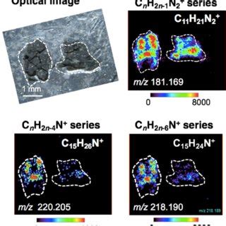 Alanine enantiomers in the Murchison meteorite - Nature