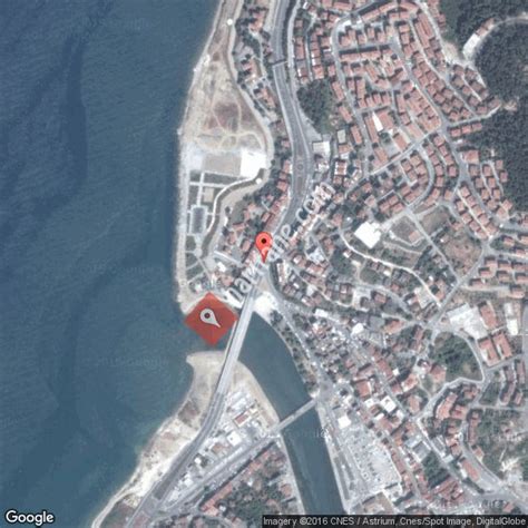 Alapli Halı ve Koltuk Yıkama