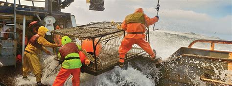 Alaska Bering Sea Crabbers Non-Profit Trade Association