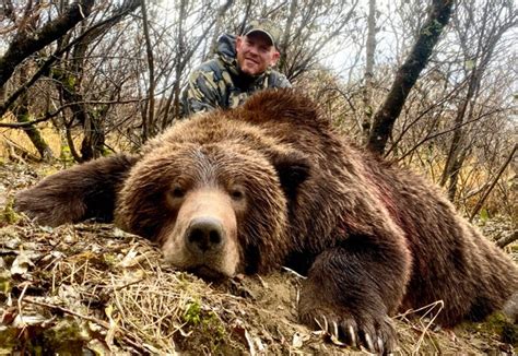 Alaska Brown Bear Hunts, Grizzly Bear Hunts - Deltana Outfitters