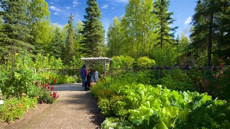 Alaska botanical garden. Things To Know About Alaska botanical garden. 