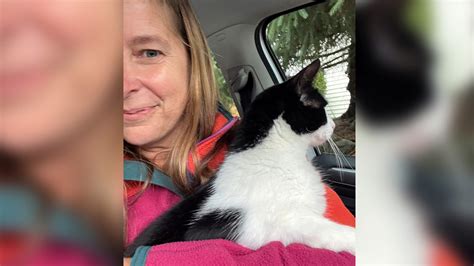 Alaska couple reunite with cat 26 days after river took home
