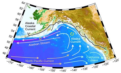 Alaska current. Things To Know About Alaska current. 