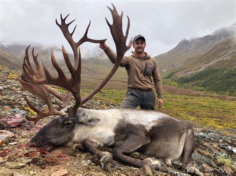 Although Alaska's draw is random and applicants cannot build points like in other states, not every applicant has the same odds of drawing. Why? Alaska allows applicants to select up to 6 hunt choices per species. What is unique about Alaska's big game draw is that each choice recieve a random entry for the hunt selected..