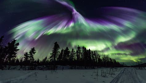 8 de jul. de 2023 ... The Geophysical Institute at the University of Alaska at Fairbanks has forecast auroral activity on Thursday in New Hampshire, .... 