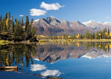 Alaska in june. Are you looking for a unique and exciting vacation experience? An Alaska cruise is the perfect way to explore the stunning natural beauty of this majestic state. With so many cruis... 