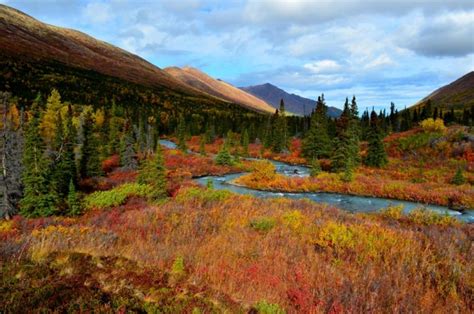 Alaska in october. You can book trips by calling our reservation office at 800-544-0552 during the following times (Alaska Local Time): Mid-May to Mid-September: Monday thru Friday - 7am-4pm 
