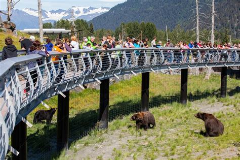 Alaska wildlife conservation center. “The Alaska Wildlife Conservation Center is a sanctuary dedicated to preserving Alaska’s wildlife through conservation, education, research, and quality animal care.” It has a large loop that you can drive, bike, or walk through, and along this loop you will see a variety of animals that I really don’t think you will find … 