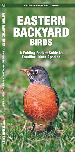 Read Alaska Birds A Folding Pocket Guide To Familiar Species By James Kavanagh