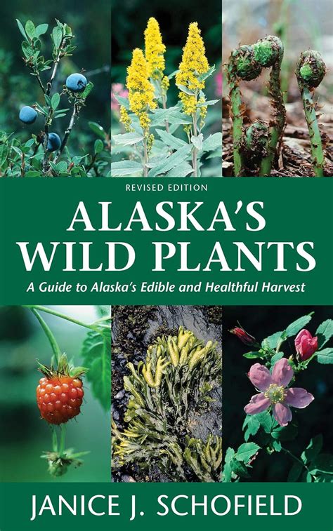 Read Online Alaskas Wild Plants Revised Edition A Guide To Alaskas Edible And Healthful Harvest By Janice Schofield Eaton