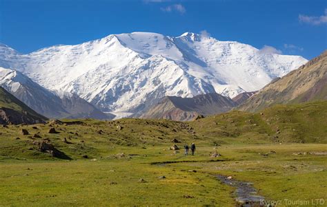 Alay Halı ve Koltuk Yıkama