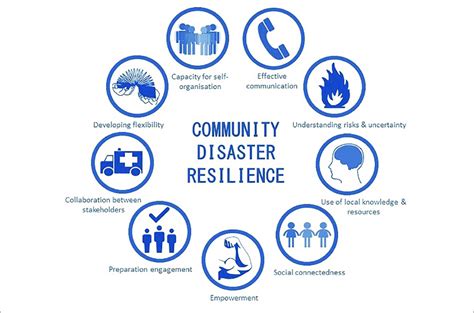 Albanese 2008 Fostering Disaster Resilient Communites