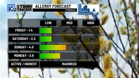 Albany allergy forecast. Get 30 Day Historic Pollen Levels for Albany, NY (12246). See important allergy and weather information to help you plan ahead. 