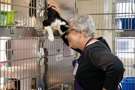 Interim CFO for Oregon Humane Society. Led organization insurance, budget, audit and financial strategy activities. OHS received a clean audit, published its 990 and closed monthly financial .... 