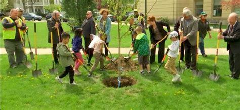 Albany students plant tree to celebrate Arbor Day