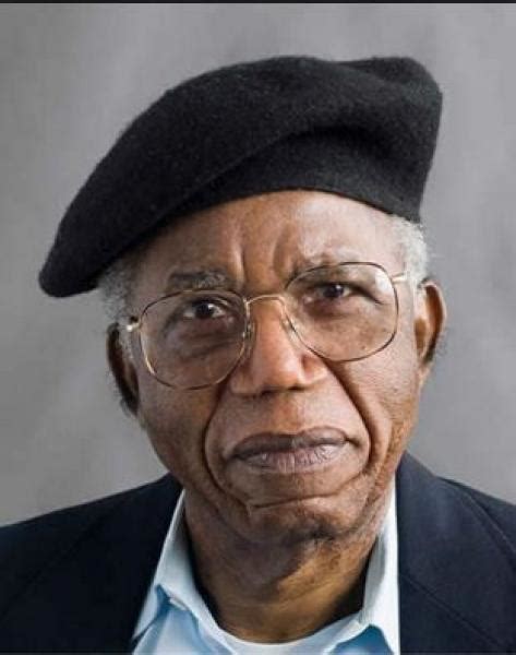 Albert chinualumogu achebe biography sample