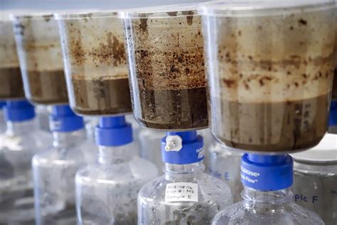 Alberta regulator confirms Kearl oilsands toxins in small fish-bearing waterbody