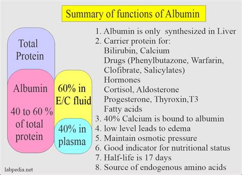 Albumin Has a Function