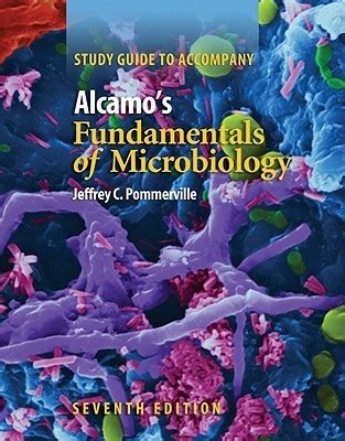 Alcamos fundamentals of microbiology study guide. - American connections in war and peace letters to raintree county.