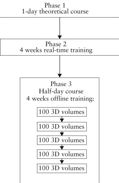 Alcazar 2013 Intensive training p pdf