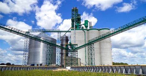 Cash bids. Reach out to the CHS Grain team today. Contact us. Contact us. Phone: 218-964-5252. 315 Broadway Ave North. St. Hilaire, MN 56754. Get connected. Quick links.