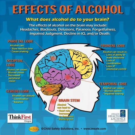 Alcohol Effects on Adolescent Brain Dr 1 Winter