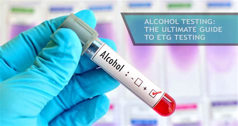Alcohol Testing Alcohol is typically out of the system,within about 24 hours