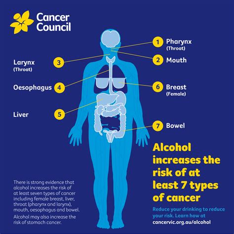 Alcohol and cancer the verdict Health Wellbeing