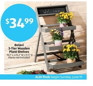 Aldi planting table. The raised garden bed has an open bottom design to encourage healthy plant growth, and it's suitable for various surfaces. Although Aldi's website doesn't provide the measurements, a TikTok ... 