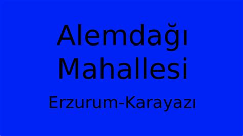 Alemdagi Halı ve Koltuk Yıkama