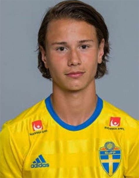 Alex timossi andersson