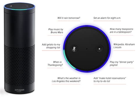 Alexa, How many organs do we have? Alexa Answers