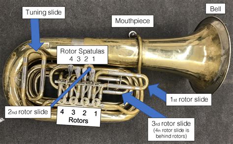 Alexa, How many valves does a tuba have? Alexa Answers