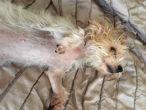 Alexa Wallace Leaked XxX 😈 169 Pics