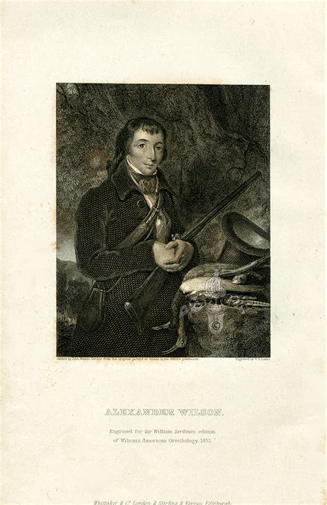 Alexander Wilson Messenger Guigang
