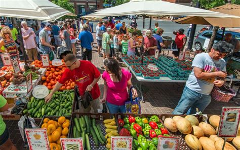 Alexandria farmers market. Things To Know About Alexandria farmers market. 