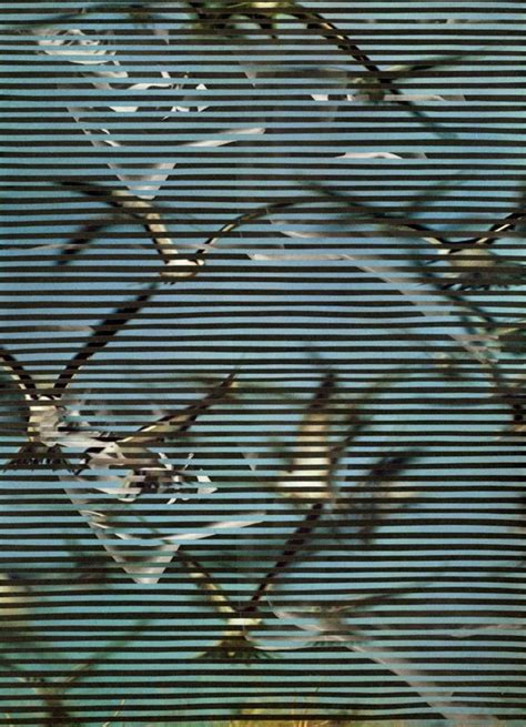 🔥 Alexi Sanne Onlyfans Leaked XxX 170 Videos