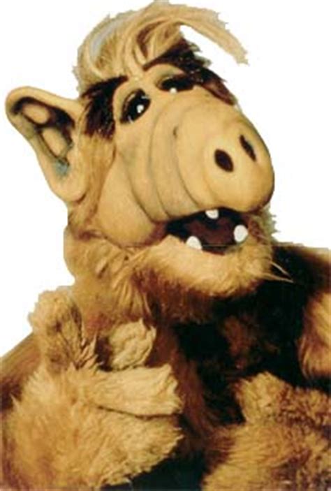 ALF is an action-adventure video game developed by Nexa and released by Sega for the Sega Master System in 1989. It is based on the American television series ALF. Players control the title character as he attempts to locate parts with which to repair his spaceship, so he can meet up with his friends Skip and Rhonda on the planet Mars. .... 
