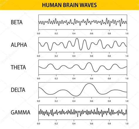 Alfa beta teta dalgaları
