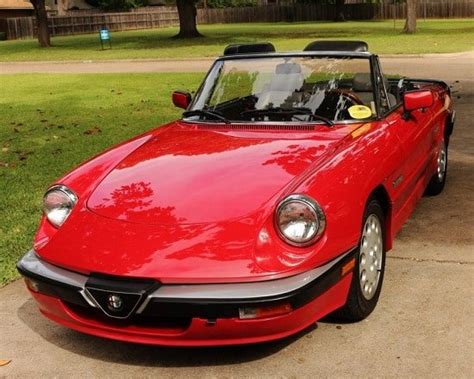 Alfa romeo spider service manual 1986. - The complete guide to prehistoric life.