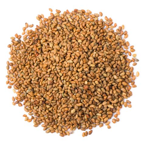 Alfalfa Seed Prices 2021