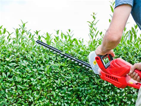 Garden Power Tools. Voltage: 230-240V. Wattage: 2800W. Clear your garden and make space with the Ferrex Garden Shredder. This impact shredder reduces garden waste and branches to chippings, and they're ideal for use on pathways or flowerbeds. Featuring an additional plunger, reverse running switch and wheels for transport you'll have everything ...