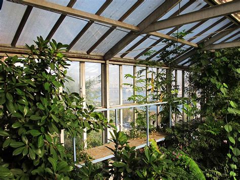 Alfred Heilbronn Botanik Bahçesi.