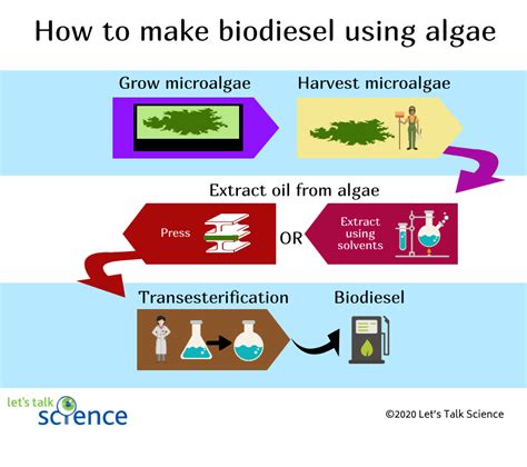 Algae Biodiesel Aff 1