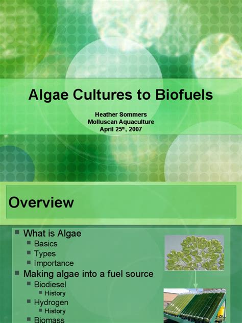 Algae Cultures to Biofuels <a href="https://www.meuselwitz-guss.de/category/political-thriller/security-organization-design-a-complete-guide-2019-edition.php">https://www.meuselwitz-guss.de/category/political-thriller/security-organization-design-a-complete-guide-2019-edition.php</a> title=
