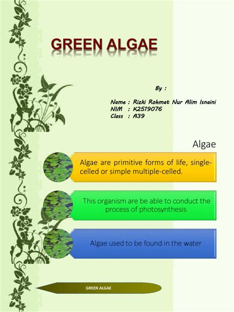 Algae EAP pptx