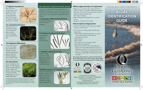 Algae Identification Field Guide pdf