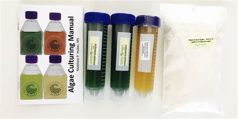 Algae Research Supply Kit Grows 5 Gallons of Spirulina, …