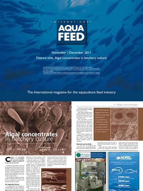 Algal concentrates in hatchery culture